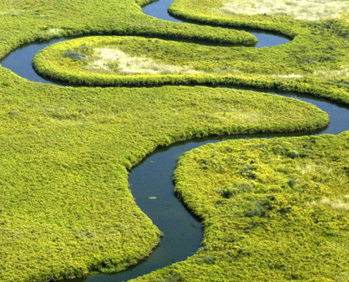 01_okavango_delta_botswana